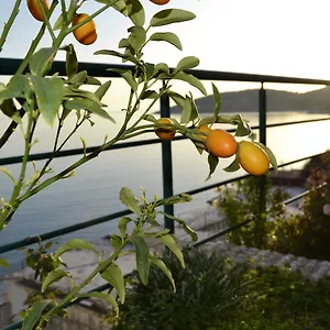 https://villa-panorma.albaniahotels.org